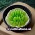 森木编辑头像，土壤与营养管理专家，专注plants施肥配土